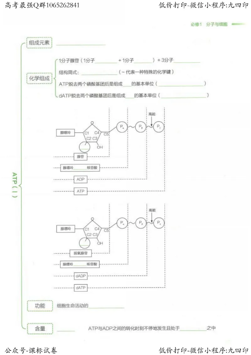 2023新高考生物核心考点基础知识妙招（336页）_高中三年全科资料_高中_高中知识点整理_生物