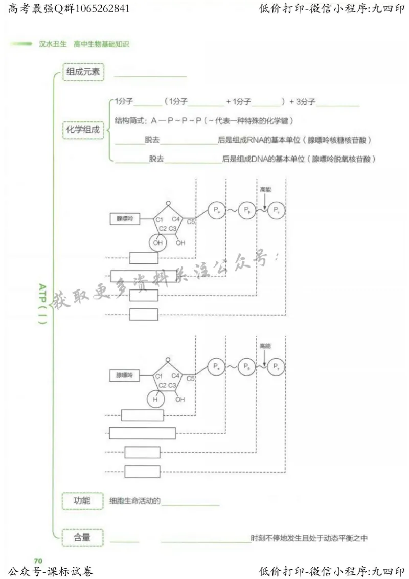 2023新高考生物核心考点基础知识妙招（336页）_高中三年全科资料_高中_高中知识点整理_生物
