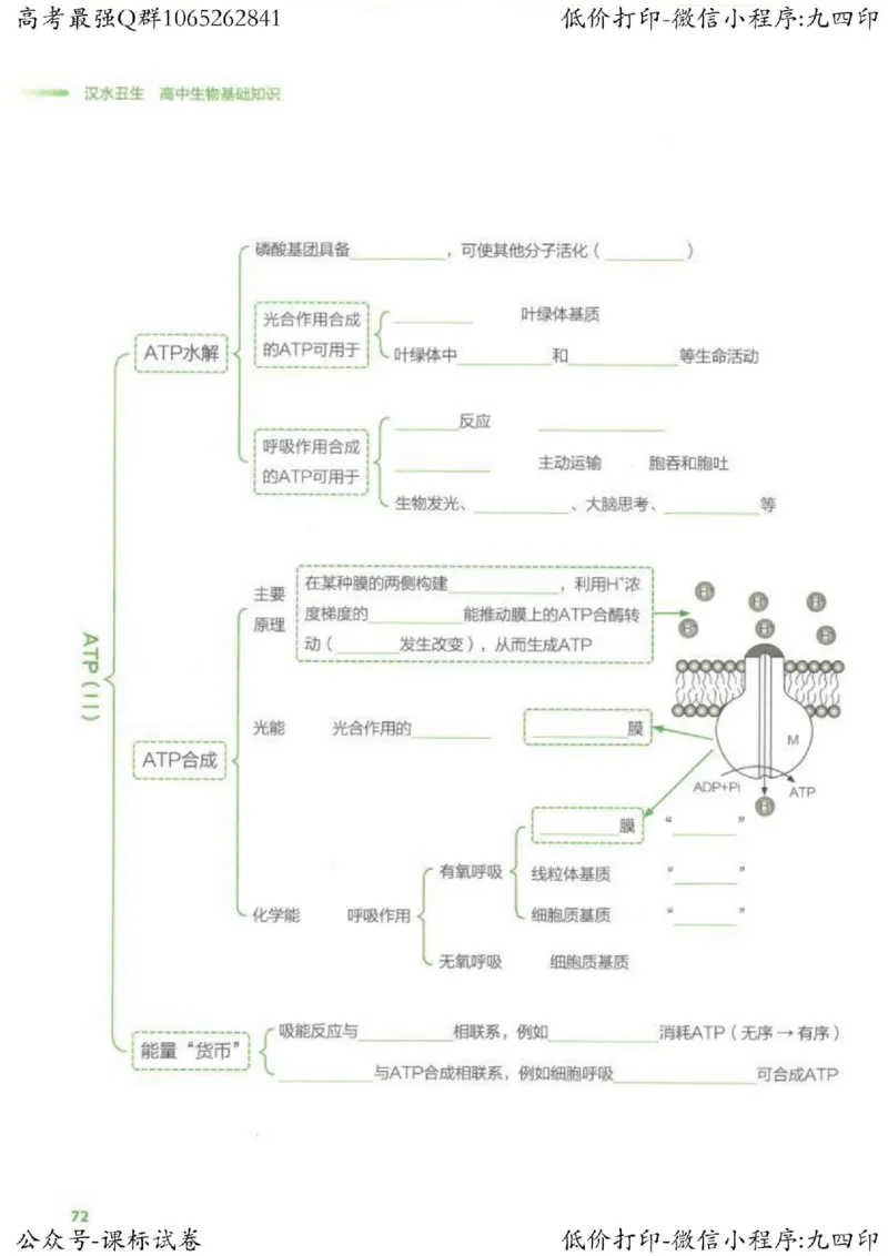 2023新高考生物核心考点基础知识妙招（336页）_高中三年全科资料_高中_高中知识点整理_生物