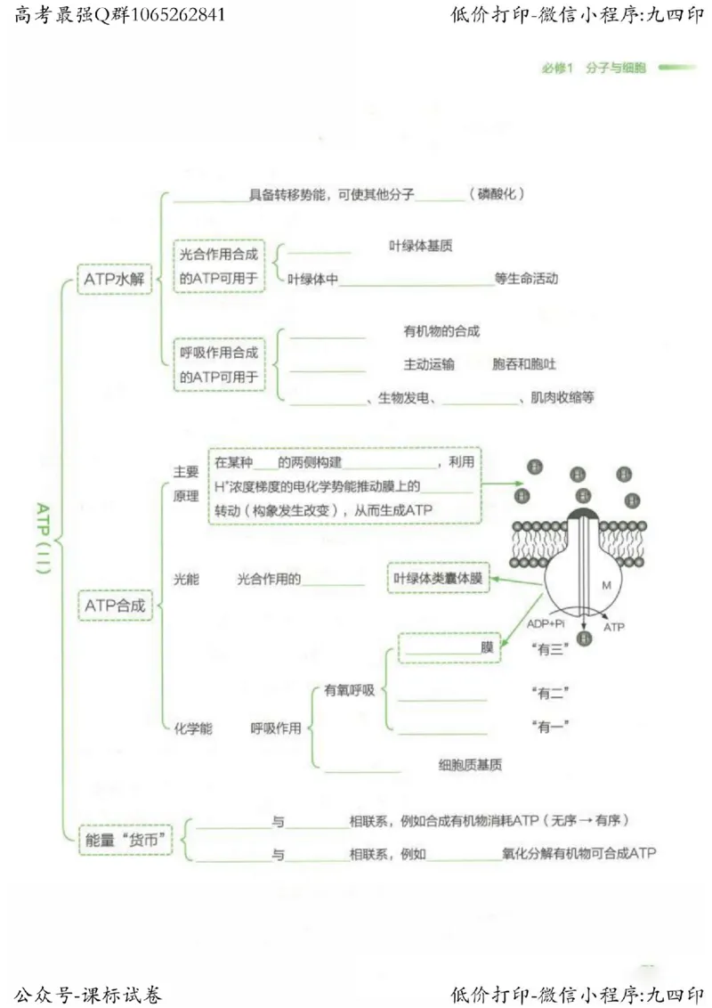 2023新高考生物核心考点基础知识妙招（336页）_高中三年全科资料_高中_高中知识点整理_生物