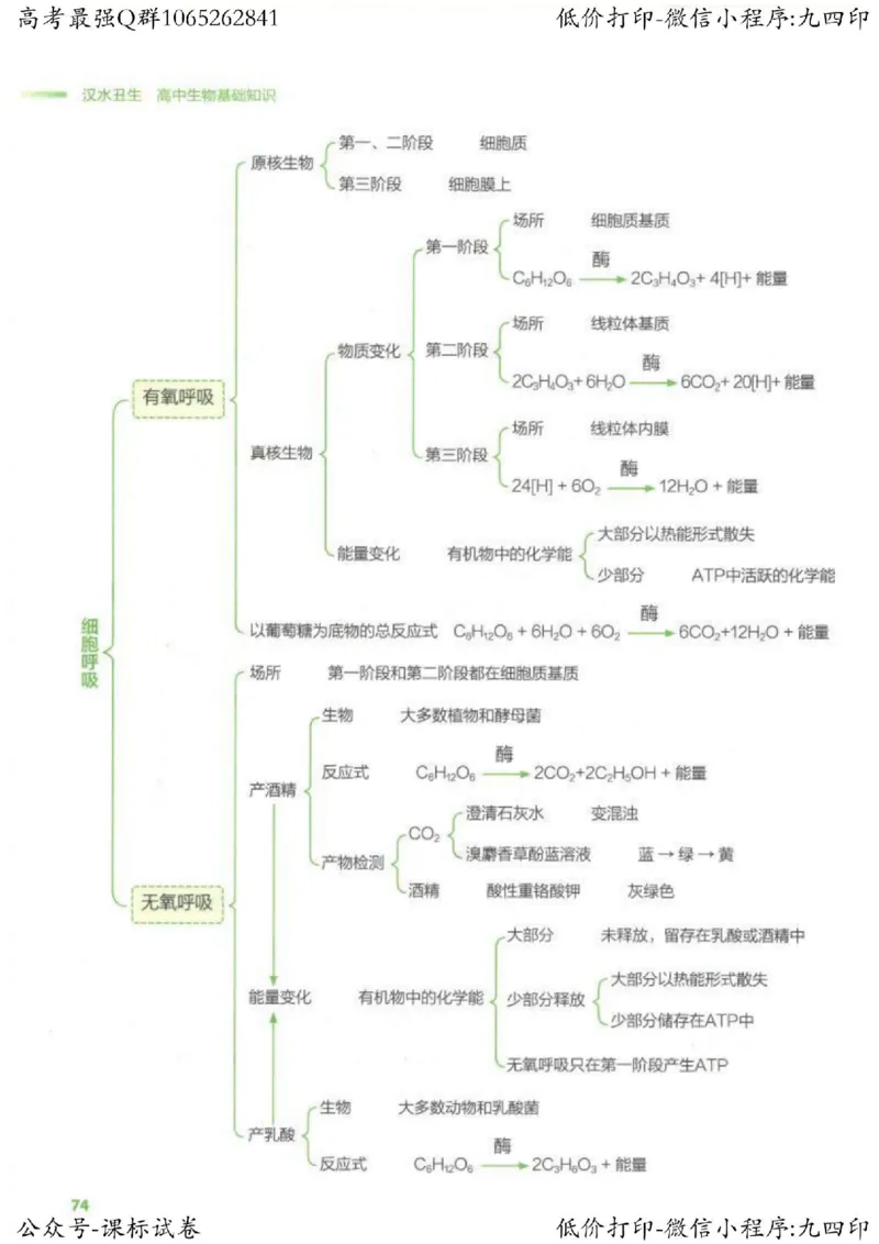 2023新高考生物核心考点基础知识妙招（336页）_高中三年全科资料_高中_高中知识点整理_生物