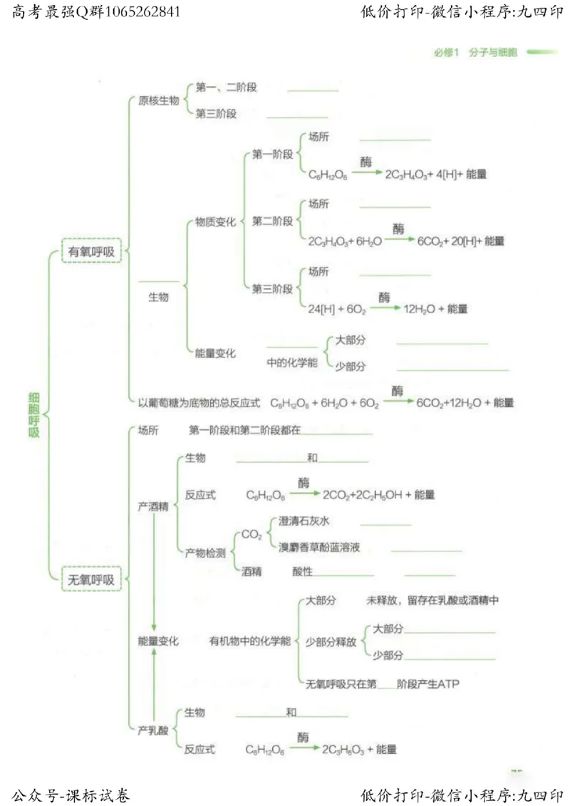 2023新高考生物核心考点基础知识妙招（336页）_高中三年全科资料_高中_高中知识点整理_生物