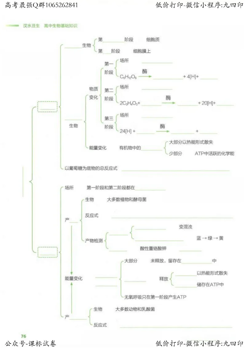 2023新高考生物核心考点基础知识妙招（336页）_高中三年全科资料_高中_高中知识点整理_生物