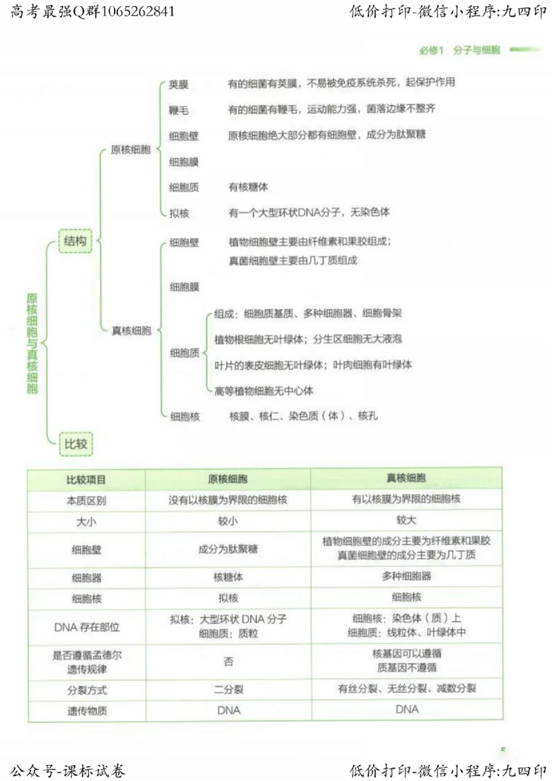 2023新高考生物核心考点基础知识妙招（336页）_高中三年全科资料_高中_高中知识点整理_生物