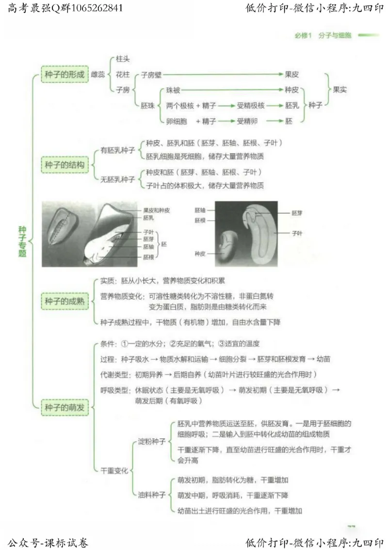 2023新高考生物核心考点基础知识妙招（336页）_高中三年全科资料_高中_高中知识点整理_生物