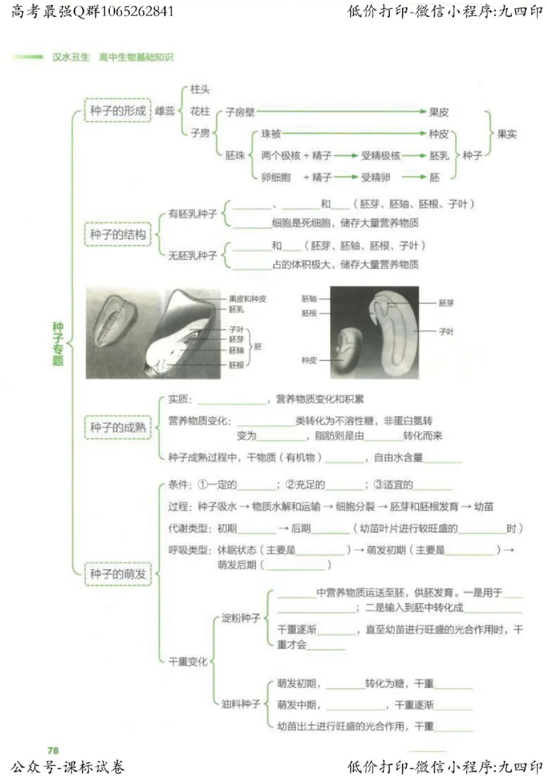 2023新高考生物核心考点基础知识妙招（336页）_高中三年全科资料_高中_高中知识点整理_生物