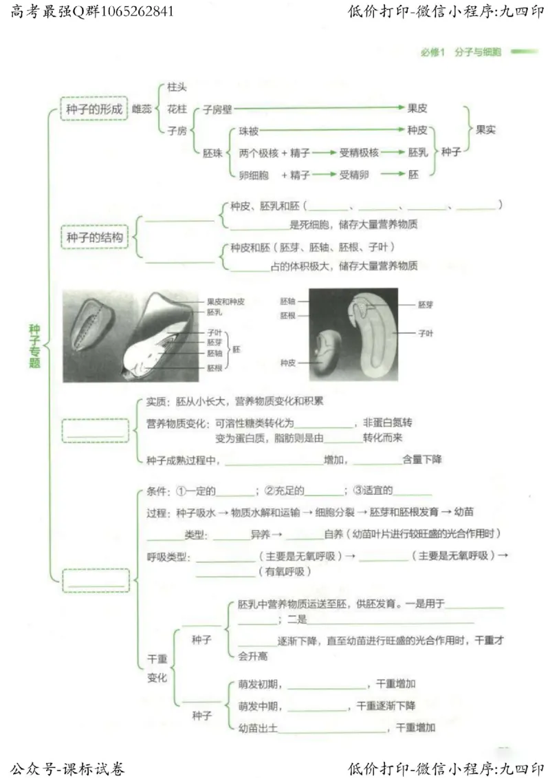 2023新高考生物核心考点基础知识妙招（336页）_高中三年全科资料_高中_高中知识点整理_生物