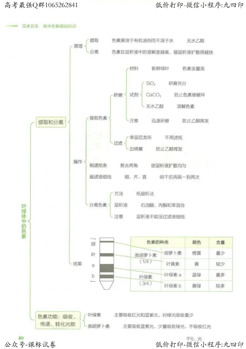 2023新高考生物核心考点基础知识妙招（336页）_高中三年全科资料_高中_高中知识点整理_生物