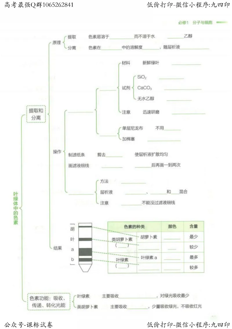 2023新高考生物核心考点基础知识妙招（336页）_高中三年全科资料_高中_高中知识点整理_生物
