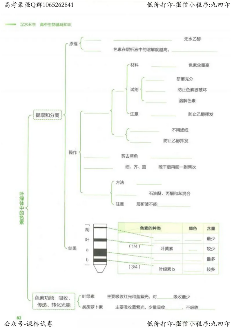 2023新高考生物核心考点基础知识妙招（336页）_高中三年全科资料_高中_高中知识点整理_生物