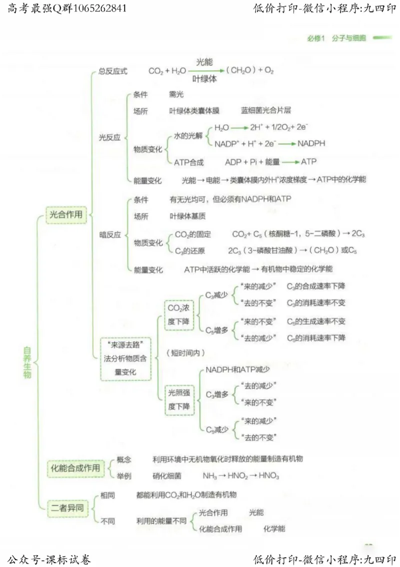 2023新高考生物核心考点基础知识妙招（336页）_高中三年全科资料_高中_高中知识点整理_生物