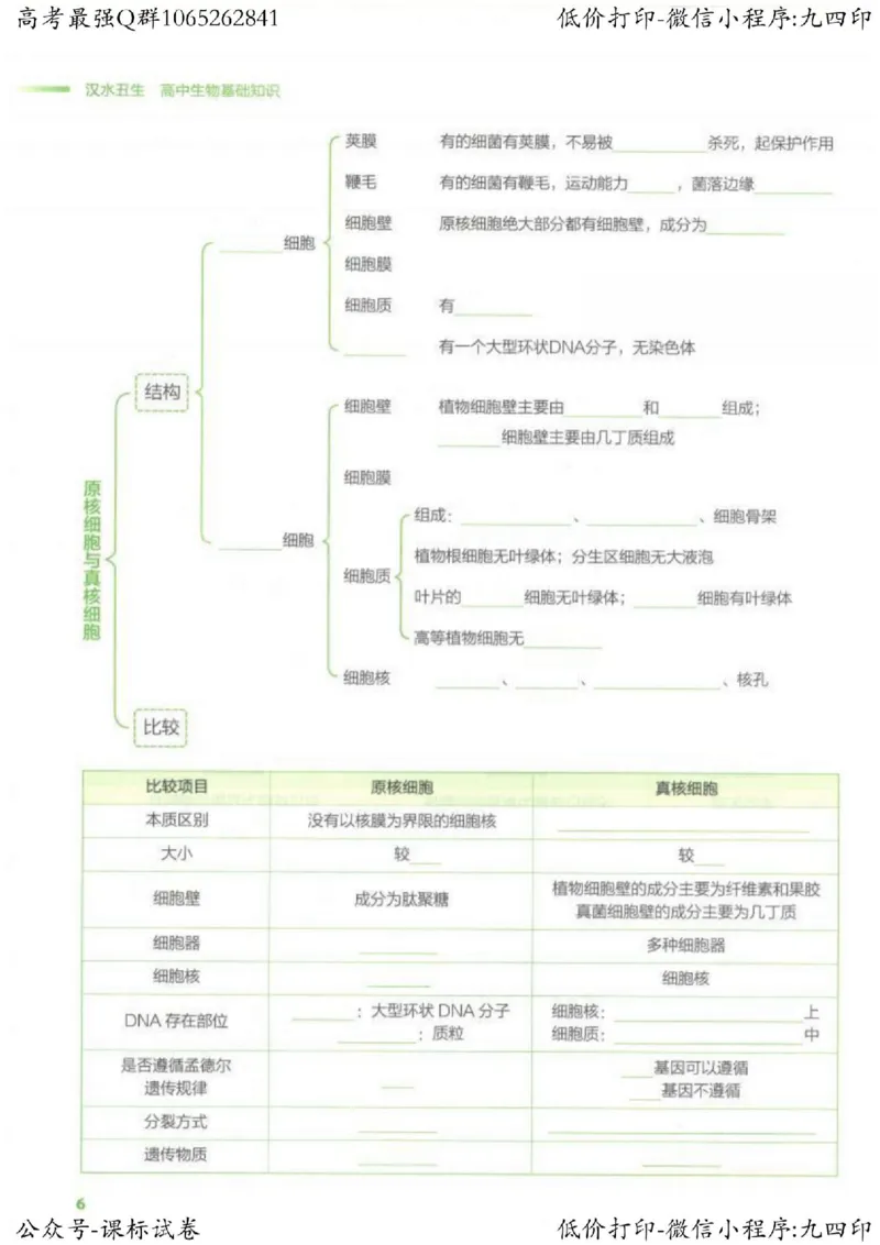 2023新高考生物核心考点基础知识妙招（336页）_高中三年全科资料_高中_高中知识点整理_生物