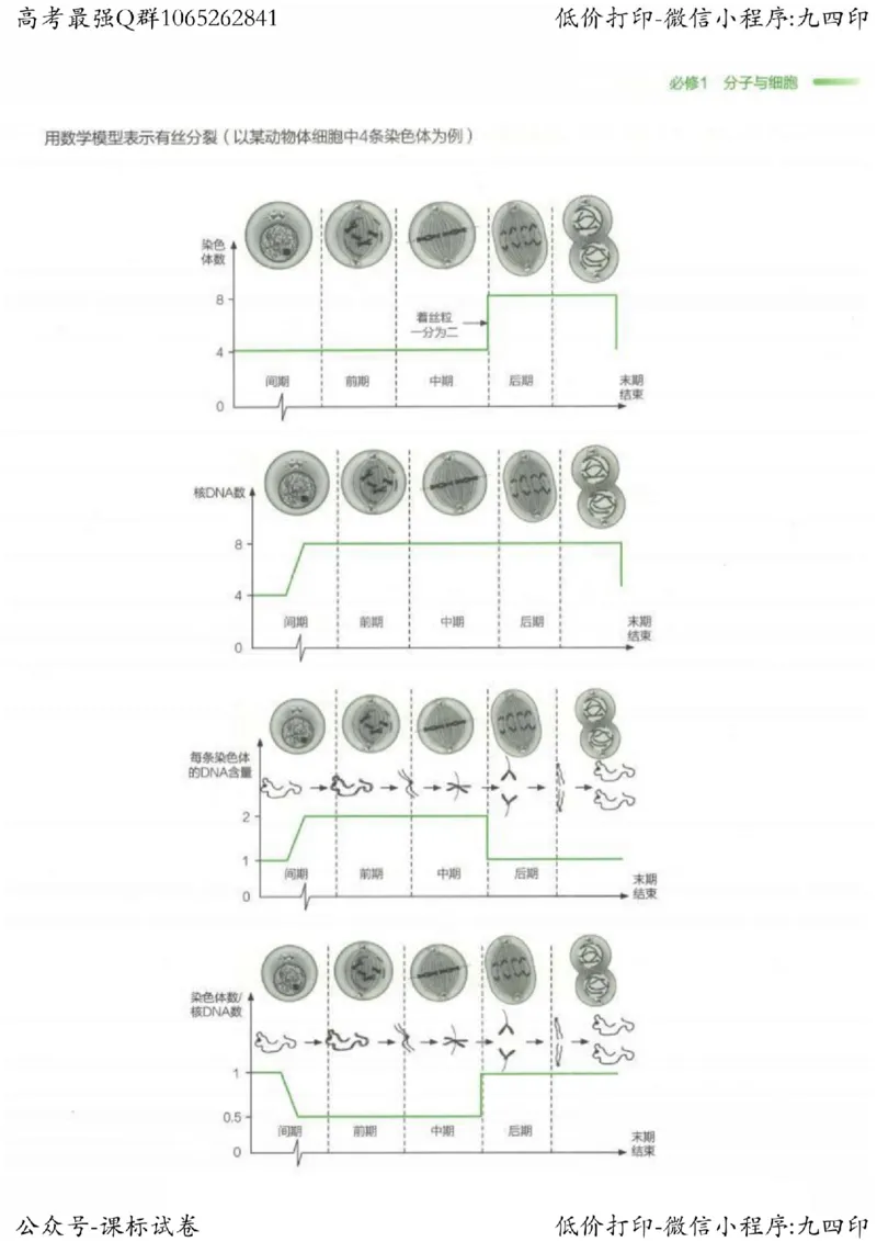 2023新高考生物核心考点基础知识妙招（336页）_高中三年全科资料_高中_高中知识点整理_生物