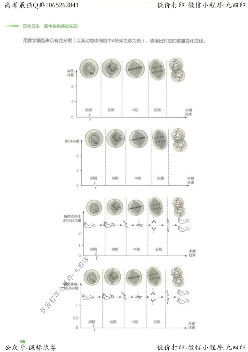 2023新高考生物核心考点基础知识妙招（336页）_高中三年全科资料_高中_高中知识点整理_生物