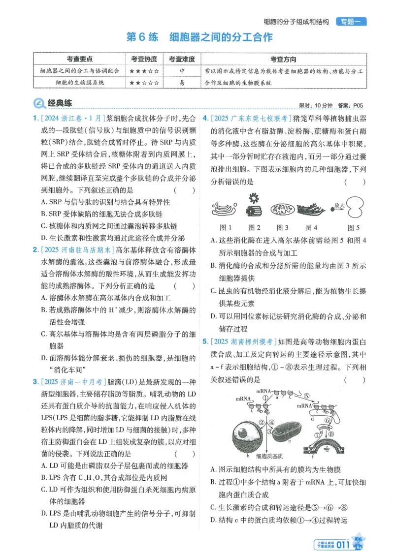 1小题狂练册新高考&middot;生物_高中三年全科资料_高中_2026版天星教育金考卷《小题狂练》9科全套_2026版金考卷小题狂练生物（新高考）