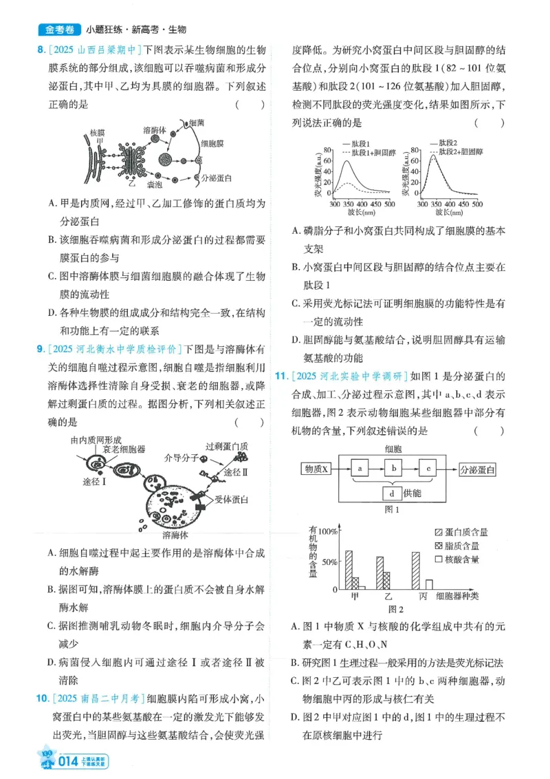 1小题狂练册新高考&middot;生物_高中三年全科资料_高中_2026版天星教育金考卷《小题狂练》9科全套_2026版金考卷小题狂练生物（新高考）