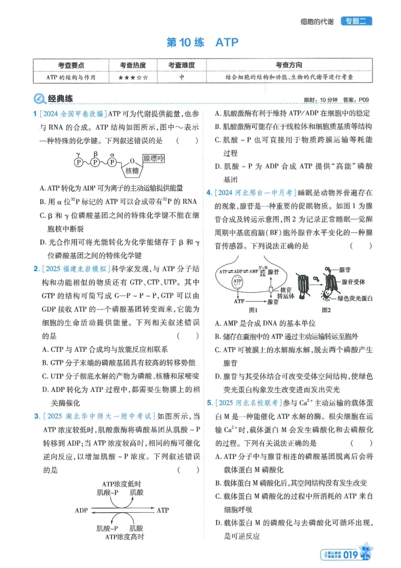 1小题狂练册新高考&middot;生物_高中三年全科资料_高中_2026版天星教育金考卷《小题狂练》9科全套_2026版金考卷小题狂练生物（新高考）