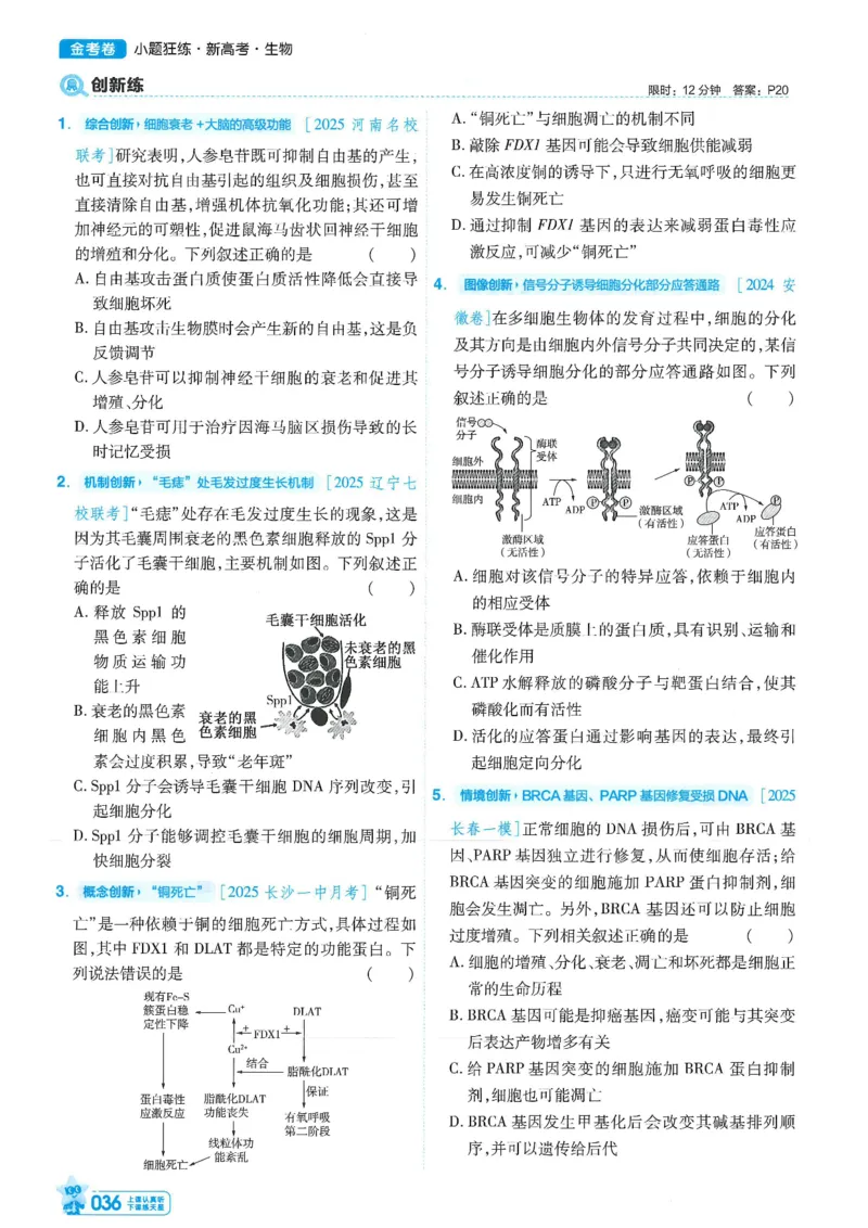 1小题狂练册新高考&middot;生物_高中三年全科资料_高中_2026版天星教育金考卷《小题狂练》9科全套_2026版金考卷小题狂练生物（新高考）