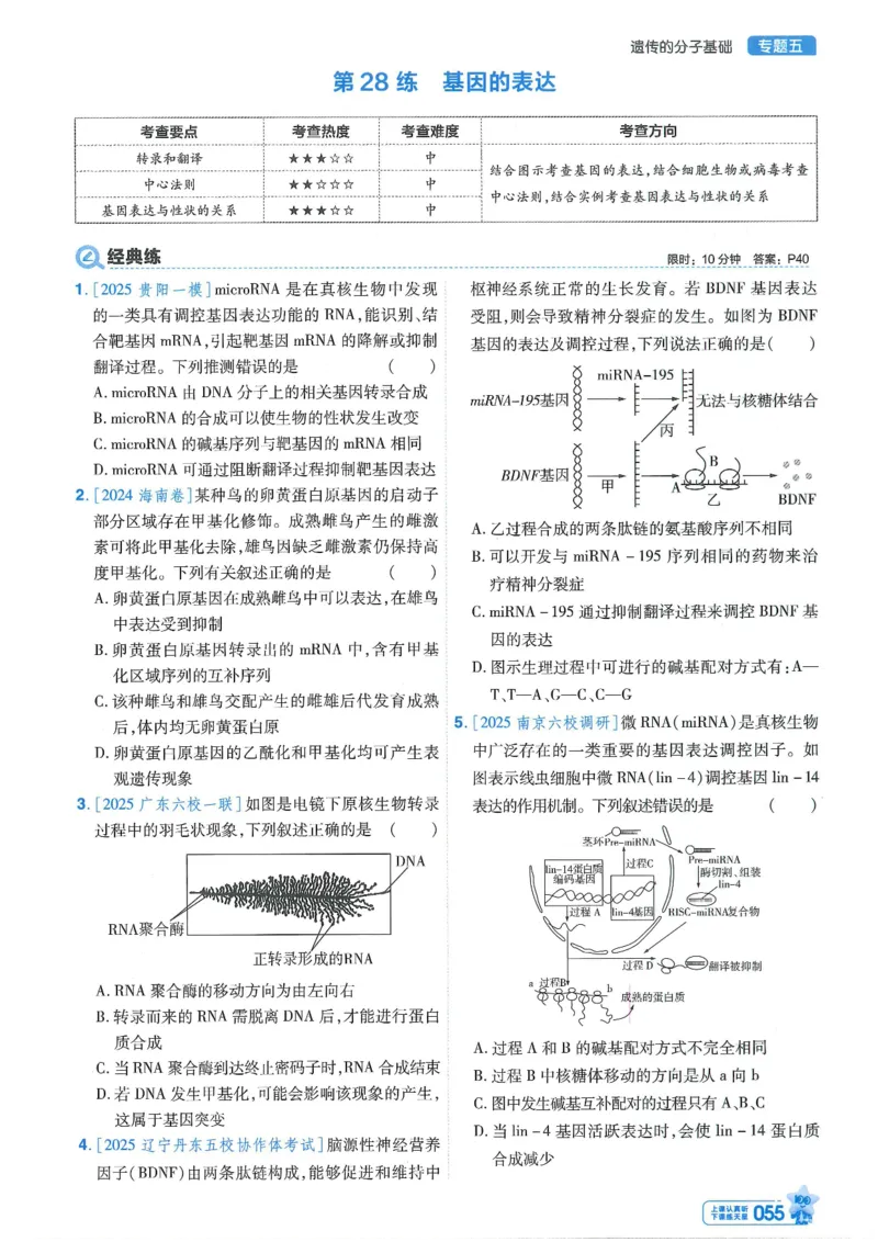 1小题狂练册新高考&middot;生物_高中三年全科资料_高中_2026版天星教育金考卷《小题狂练》9科全套_2026版金考卷小题狂练生物（新高考）