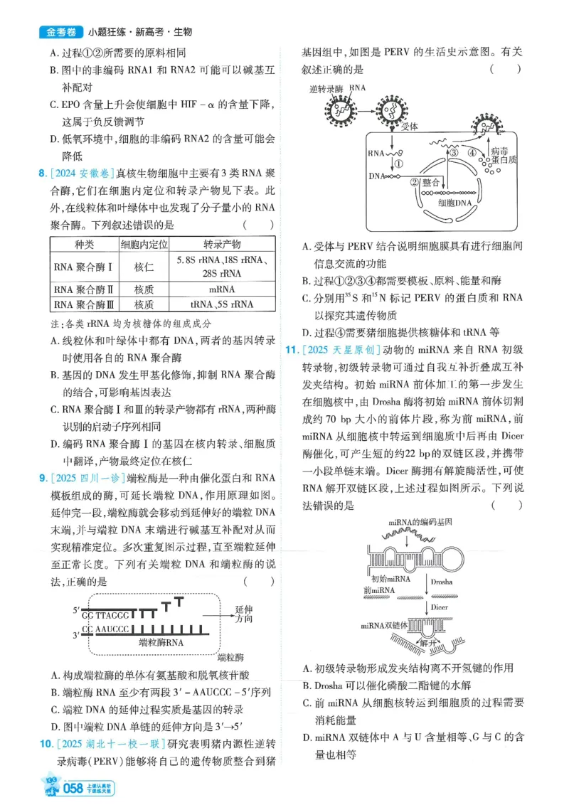 1小题狂练册新高考&middot;生物_高中三年全科资料_高中_2026版天星教育金考卷《小题狂练》9科全套_2026版金考卷小题狂练生物（新高考）