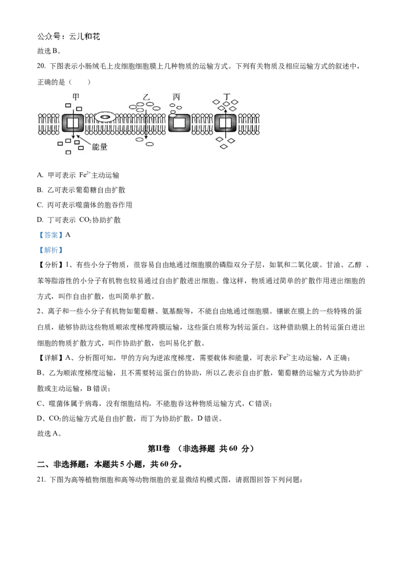 河北省衡水市冀州区河北冀州中学2024-2025学年高一上学期10月期中生物试题Word版含解析_2024年11月试卷_1114河北省衡水市冀州中学2024-2025学年高一上学期10月期中考试