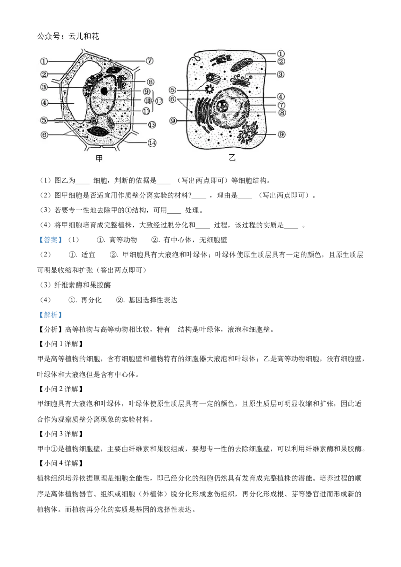 河北省衡水市冀州区河北冀州中学2024-2025学年高一上学期10月期中生物试题Word版含解析_2024年11月试卷_1114河北省衡水市冀州中学2024-2025学年高一上学期10月期中考试