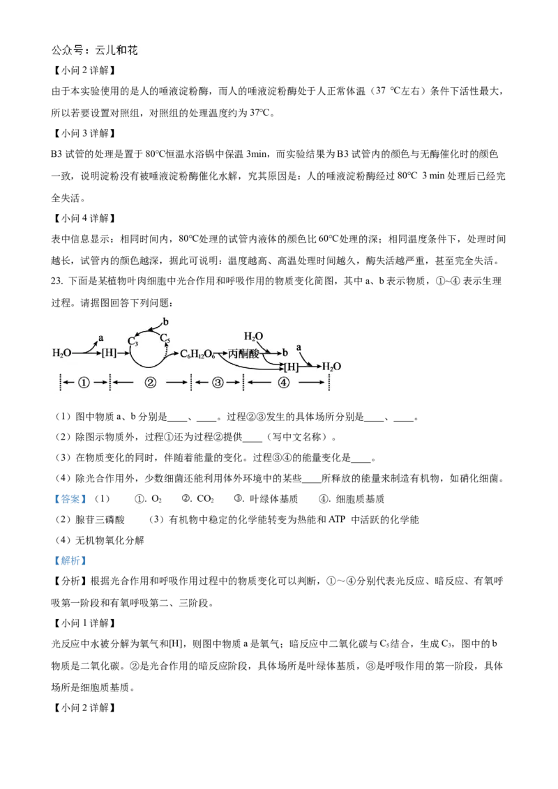 河北省衡水市冀州区河北冀州中学2024-2025学年高一上学期10月期中生物试题Word版含解析_2024年11月试卷_1114河北省衡水市冀州中学2024-2025学年高一上学期10月期中考试