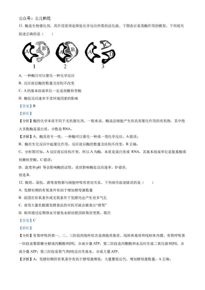 河北省衡水市冀州区河北冀州中学2024-2025学年高一上学期10月期中生物试题Word版含解析_2024年11月试卷_1114河北省衡水市冀州中学2024-2025学年高一上学期10月期中考试