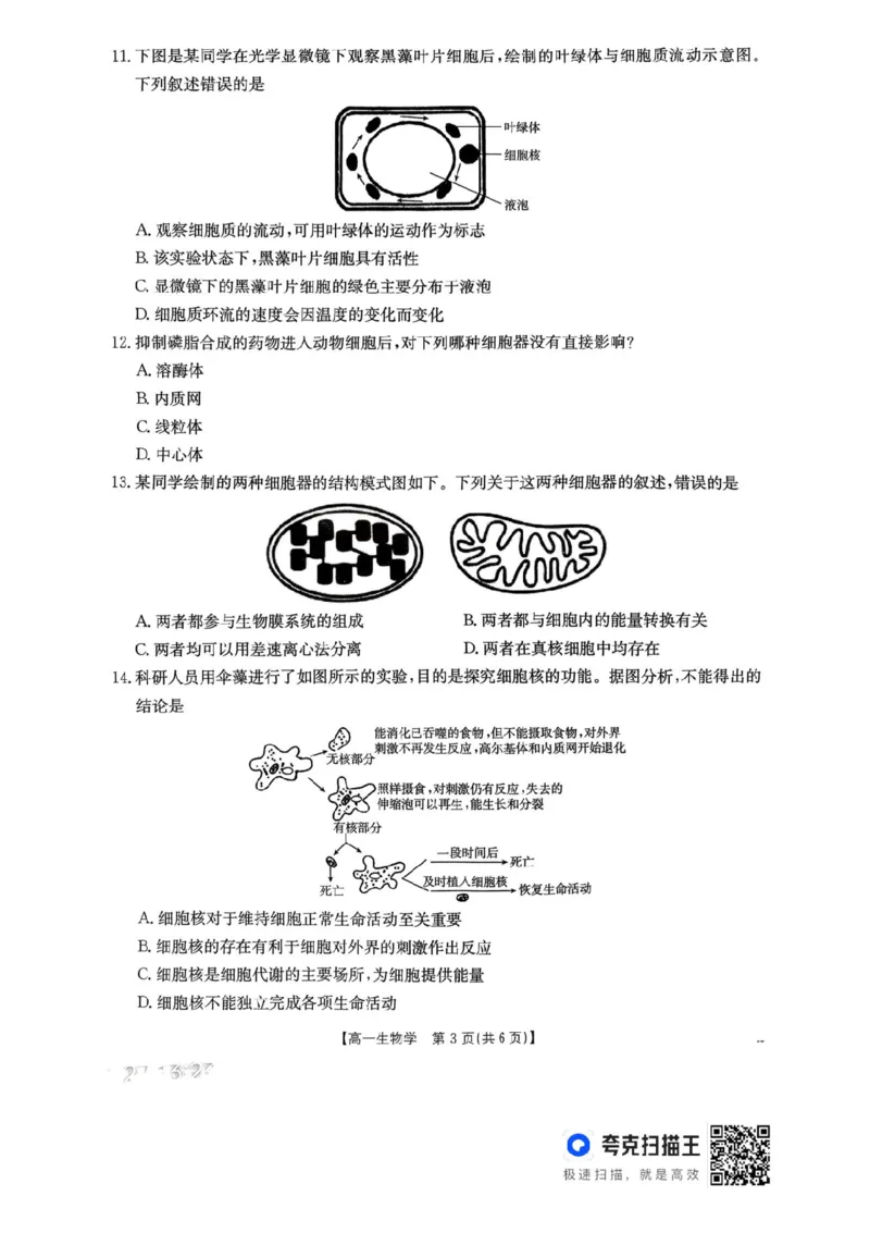 河南省金太阳联考2025-2026学年高一上学期期中考试生物学试卷含答案_2025年12月高一试卷_251204金太阳河南省2025-2026年度高一上学期中考试