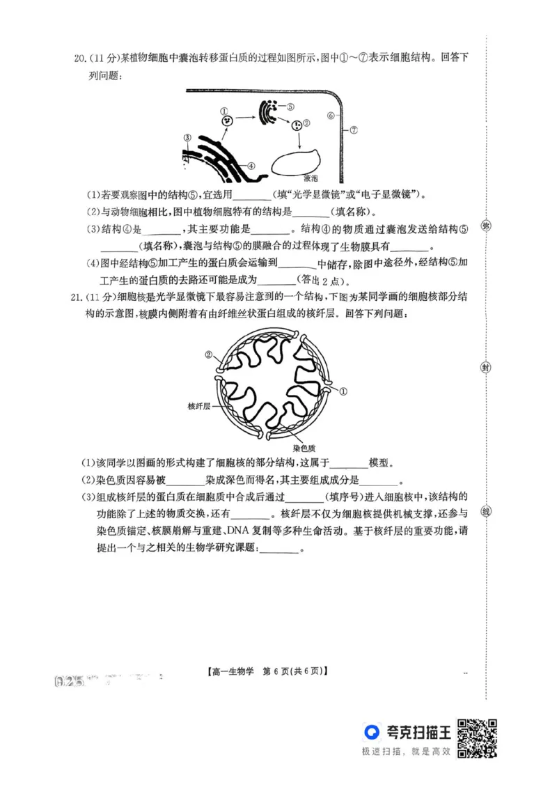 河南省金太阳联考2025-2026学年高一上学期期中考试生物学试卷含答案_2025年12月高一试卷_251204金太阳河南省2025-2026年度高一上学期中考试