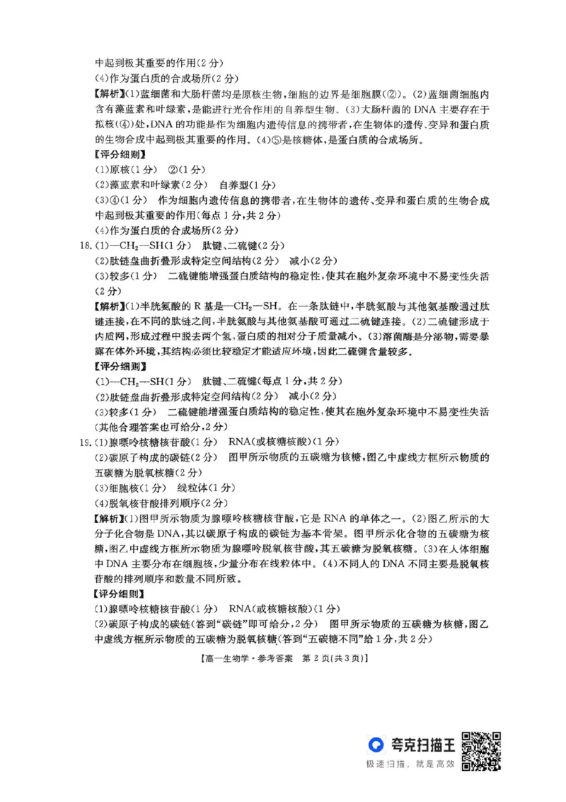 河南省金太阳联考2025-2026学年高一上学期期中考试生物学试卷含答案_2025年12月高一试卷_251204金太阳河南省2025-2026年度高一上学期中考试