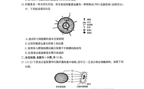 河南省金太阳联考2025-2026学年高一上学期期中考试生物学试卷含答案_2025年12月高一试卷_251204金太阳河南省2025-2026年度高一上学期中考试