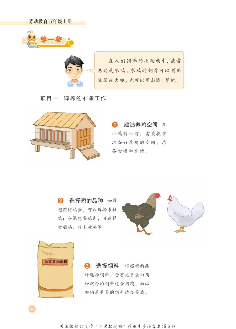 劳动教育5年级上册_电子课本_小学电子课本_11劳动技术_武汉版