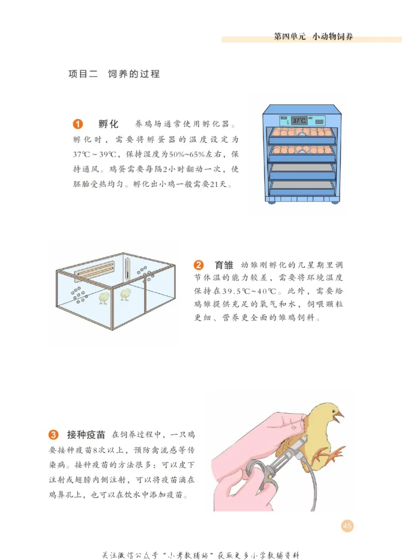 劳动教育5年级上册_电子课本_小学电子课本_11劳动技术_武汉版