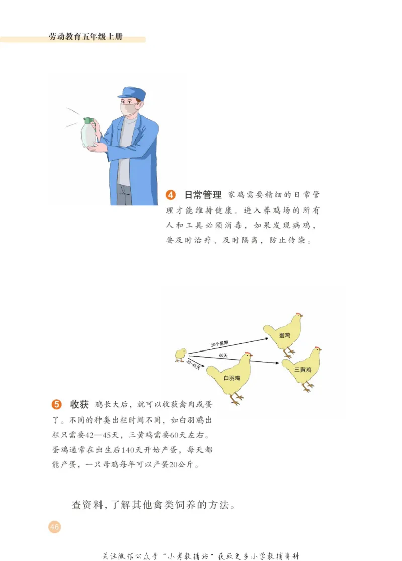 劳动教育5年级上册_电子课本_小学电子课本_11劳动技术_武汉版