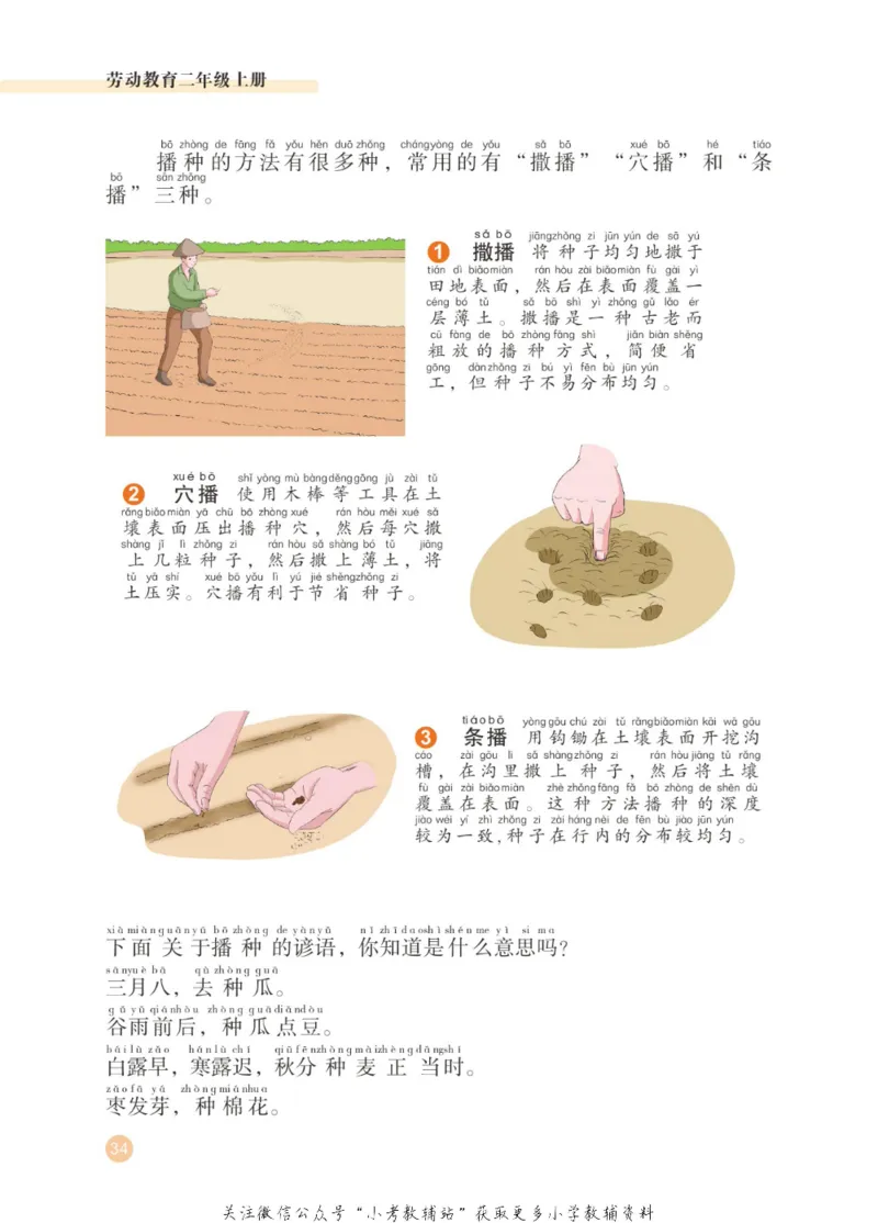 劳动教育2年级上册_电子课本_小学电子课本_11劳动技术_武汉版