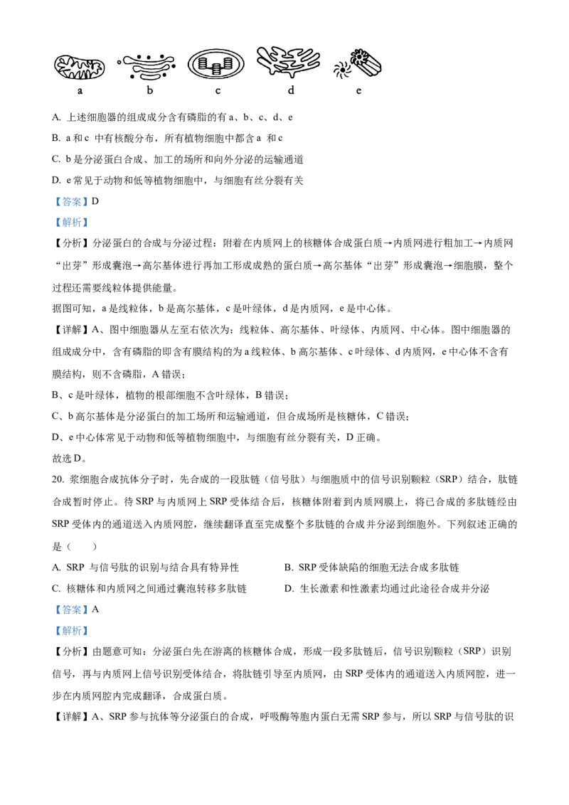 河南省实验中学2025-2026学年高一上学期期中考试生物试题Word版含解析_2025年12月高一试卷_251222河南省实验中学2025-2026学年高一上学期期中考试（全）