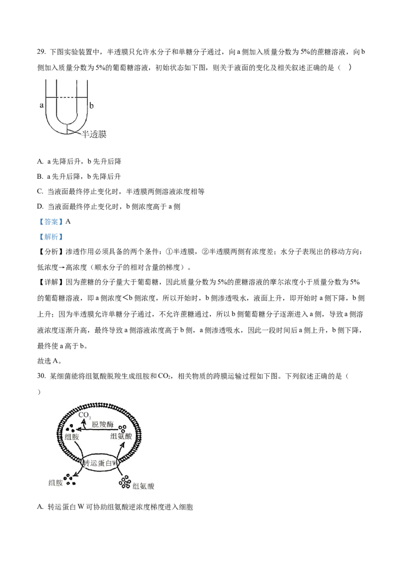 河南省实验中学2025-2026学年高一上学期期中考试生物试题Word版含解析_2025年12月高一试卷_251222河南省实验中学2025-2026学年高一上学期期中考试（全）