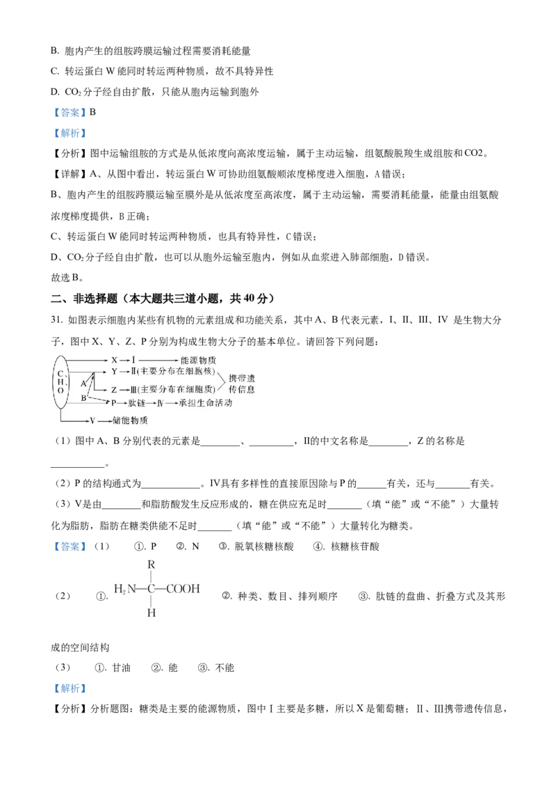 河南省实验中学2025-2026学年高一上学期期中考试生物试题Word版含解析_2025年12月高一试卷_251222河南省实验中学2025-2026学年高一上学期期中考试（全）