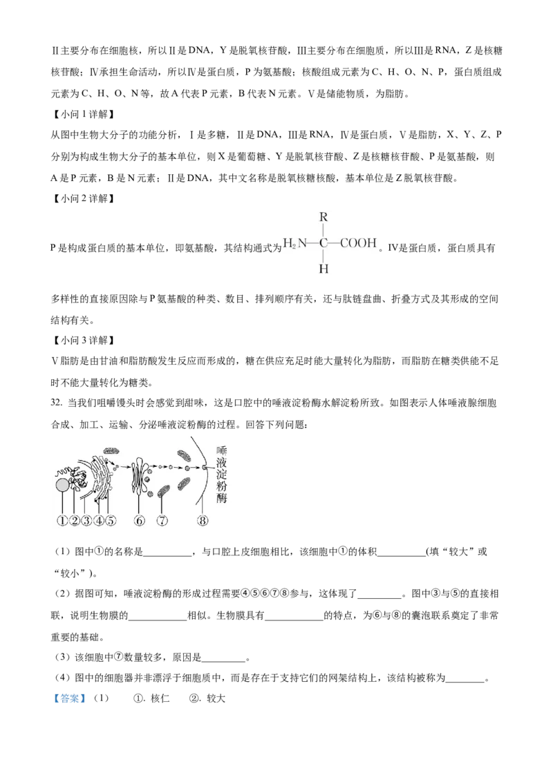 河南省实验中学2025-2026学年高一上学期期中考试生物试题Word版含解析_2025年12月高一试卷_251222河南省实验中学2025-2026学年高一上学期期中考试（全）