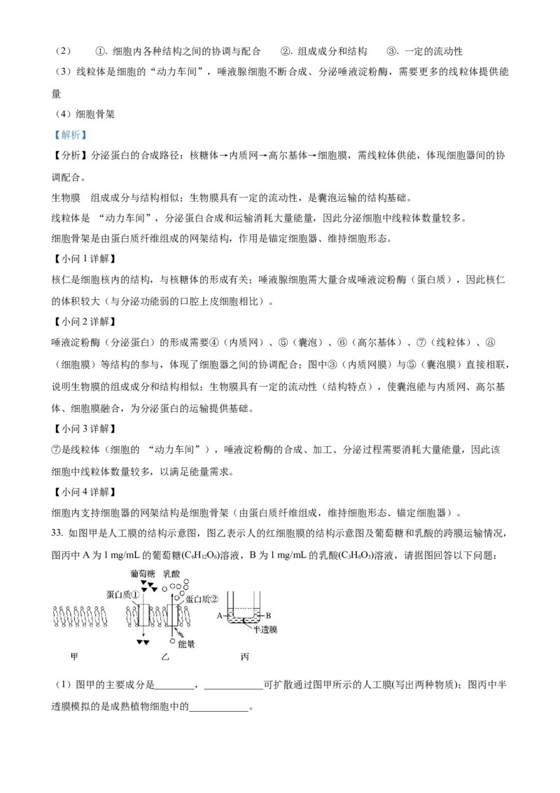 河南省实验中学2025-2026学年高一上学期期中考试生物试题Word版含解析_2025年12月高一试卷_251222河南省实验中学2025-2026学年高一上学期期中考试（全）
