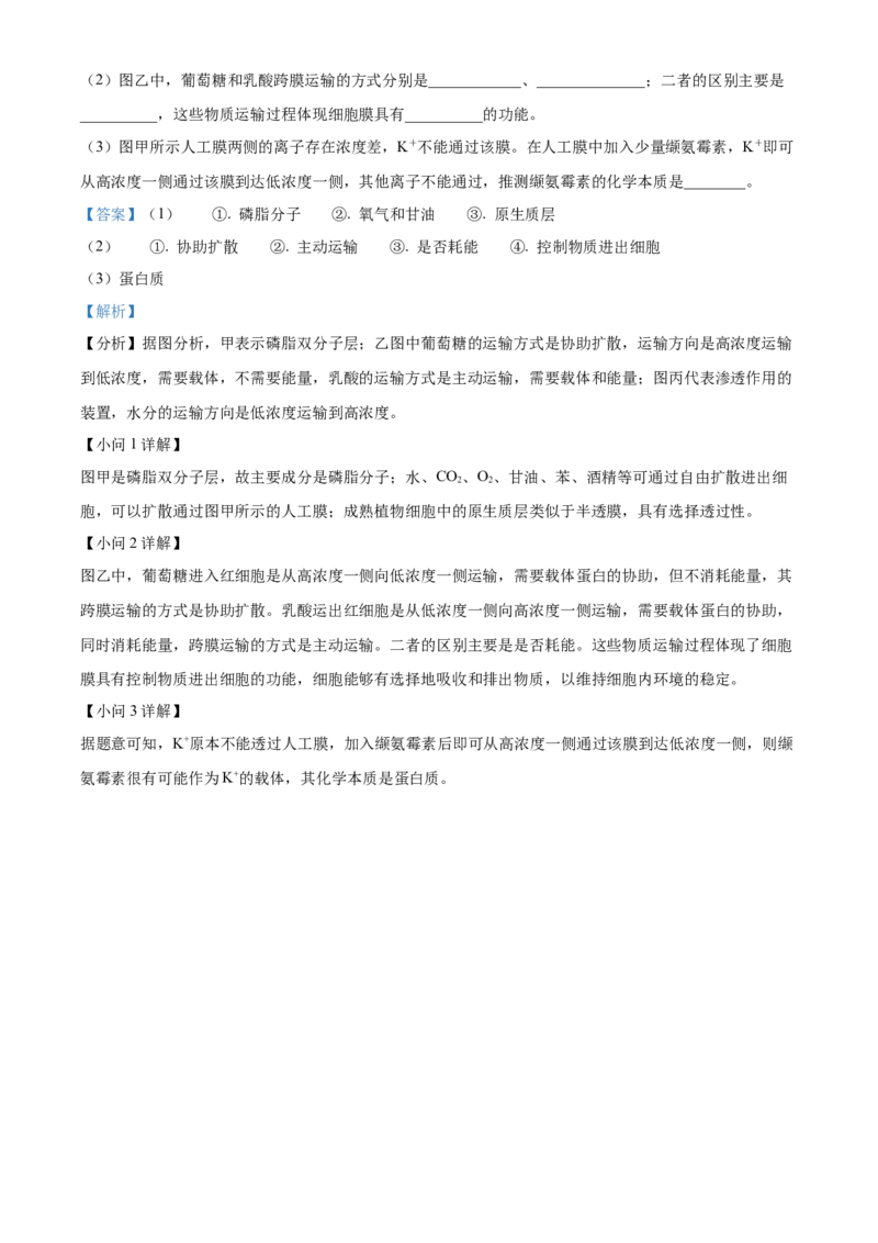 河南省实验中学2025-2026学年高一上学期期中考试生物试题Word版含解析_2025年12月高一试卷_251222河南省实验中学2025-2026学年高一上学期期中考试（全）