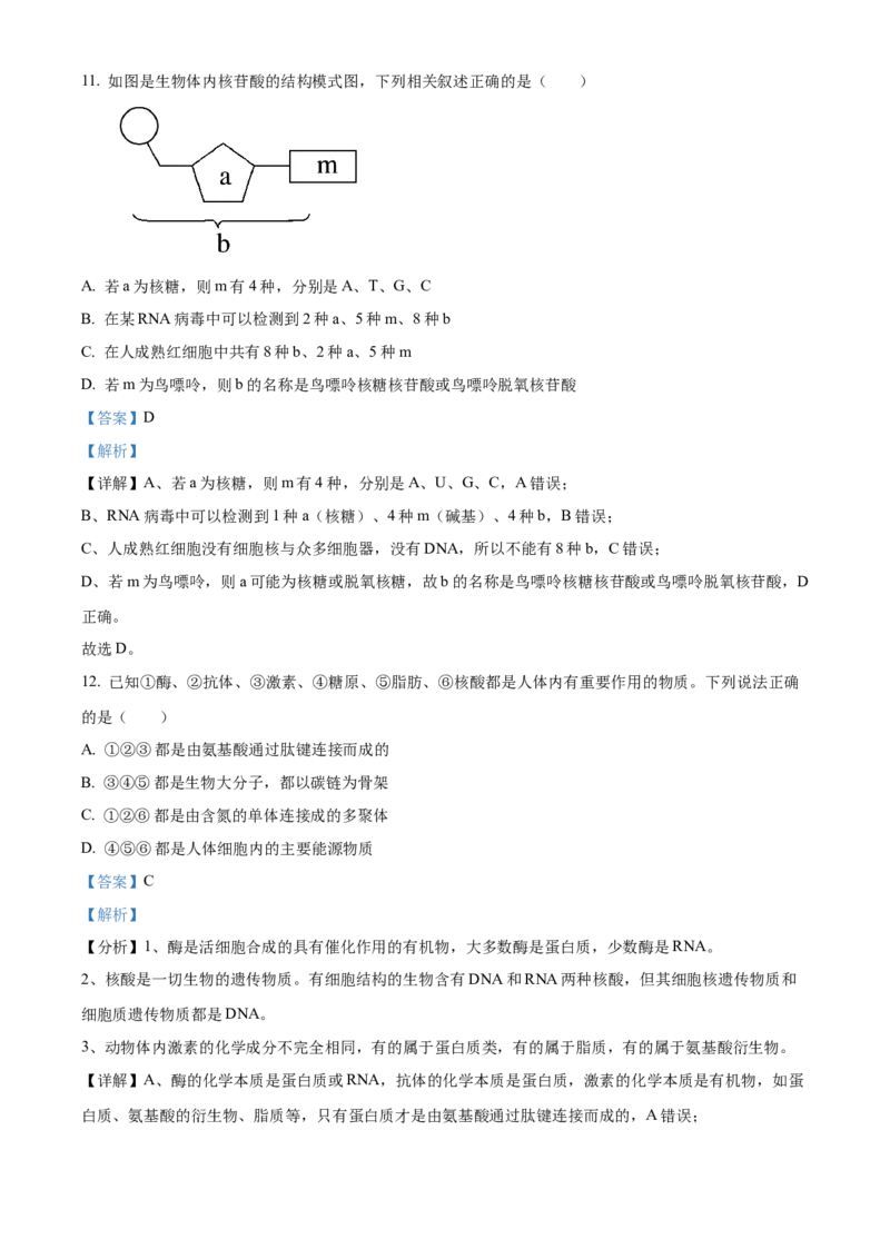 河南省实验中学2025-2026学年高一上学期期中考试生物试题Word版含解析_2025年12月高一试卷_251222河南省实验中学2025-2026学年高一上学期期中考试（全）