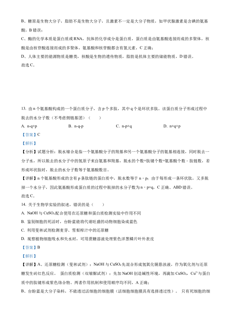 河南省实验中学2025-2026学年高一上学期期中考试生物试题Word版含解析_2025年12月高一试卷_251222河南省实验中学2025-2026学年高一上学期期中考试（全）