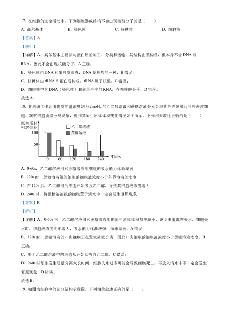 河南省实验中学2025-2026学年高一上学期期中考试生物试题Word版含解析_2025年12月高一试卷_251222河南省实验中学2025-2026学年高一上学期期中考试（全）