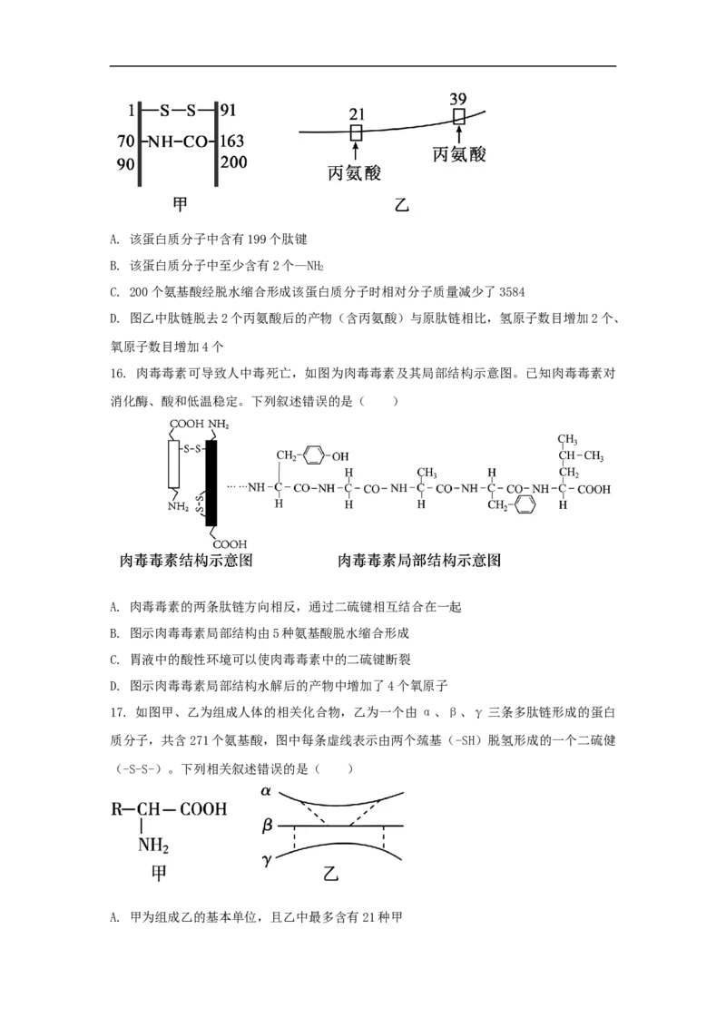 济宁市实验中学2025级高一上学期10月10月月考生物试题_2025年10月高一试卷_251025山东省济宁市实验中学2025-2026学年高一上学期10月月考（全)