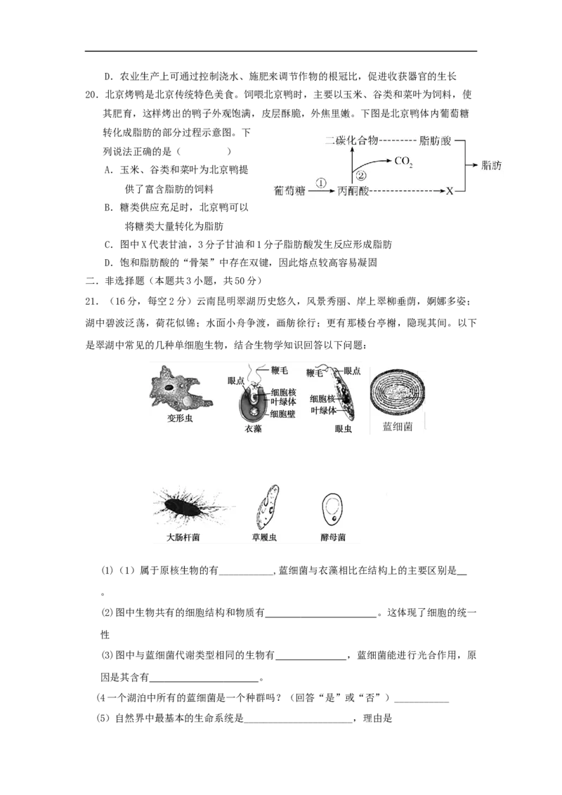 济宁市实验中学2025级高一上学期10月10月月考生物试题_2025年10月高一试卷_251025山东省济宁市实验中学2025-2026学年高一上学期10月月考（全)