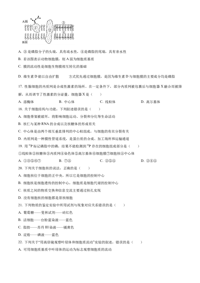 河南省郑州市十校2024-2025学年高一上学期期中联考生物试卷Word版无答案_2024年12月试卷_1213河南省郑州十校联考2024-2025学年高一上学期期中考试