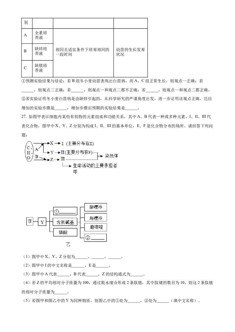 河南省郑州市十校2024-2025学年高一上学期期中联考生物试卷Word版无答案_2024年12月试卷_1213河南省郑州十校联考2024-2025学年高一上学期期中考试