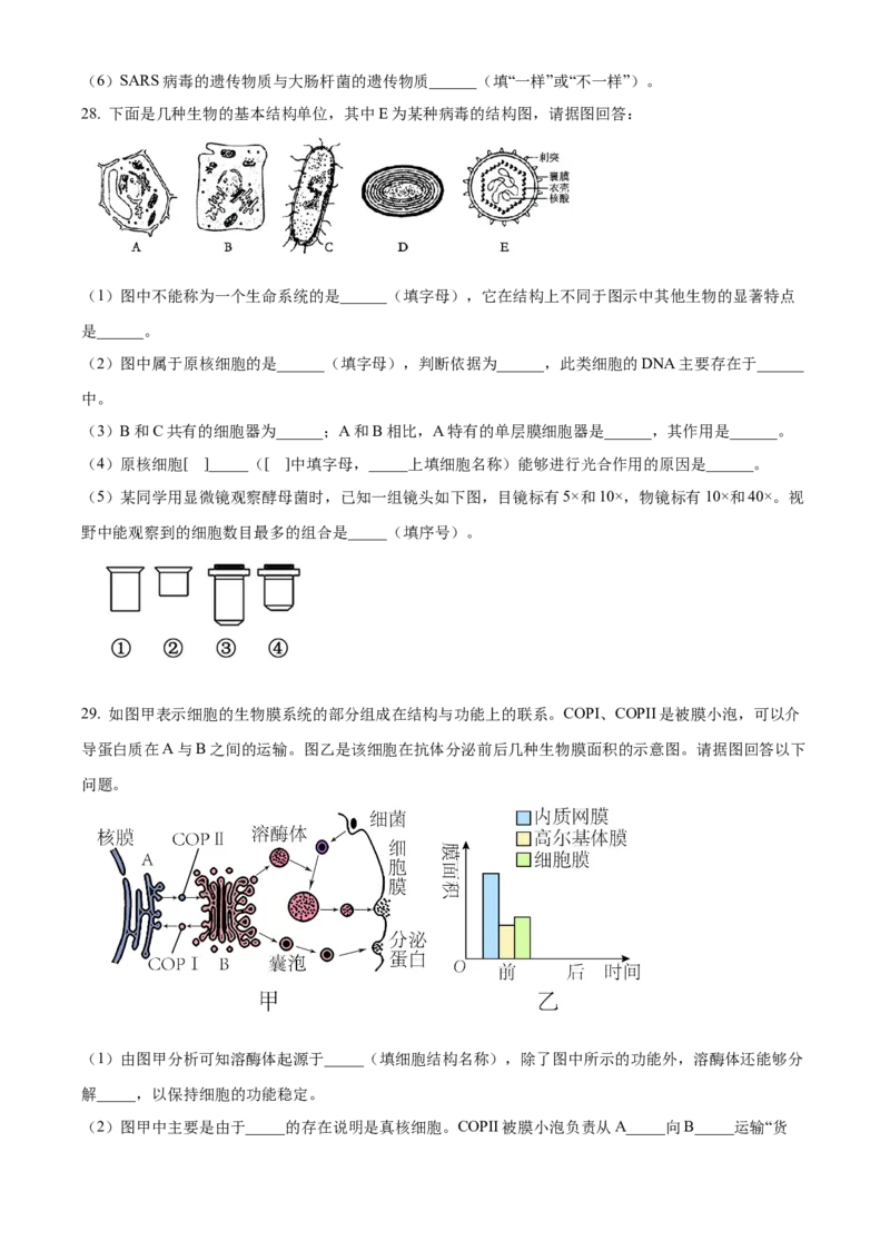 河南省郑州市十校2024-2025学年高一上学期期中联考生物试卷Word版无答案_2024年12月试卷_1213河南省郑州十校联考2024-2025学年高一上学期期中考试